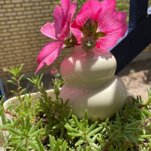 گلدان ساناز بسته دو عددی کد 922