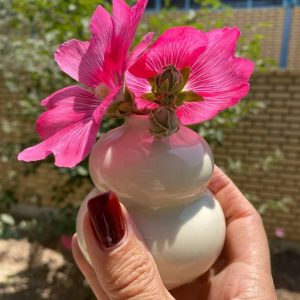 گلدان ساناز بسته 2 عددی کد 922