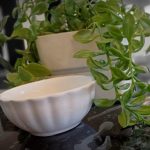 کاسه کنگره‌ای (بسته ۶ عددی)