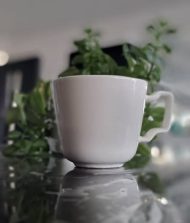 فنجان اسپارتا (بسته ۶ عددی) - تصویر 3