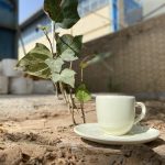 قهوه خوری 1224 (بسته 6 عددی)