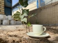 قهوه خوری 1224 (بسته 6 عددی)