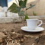 قهوه خوری 1226 (بسته ۶ عددی)