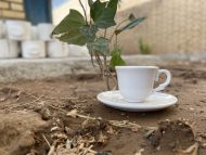 قهوه خوری 1226 (بسته ۶ عددی)