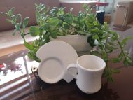 فنجان آرش (بسته ۶ عددی) - تصویر 5