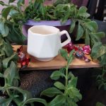 فنجان رویا (بسته ۶ عددی)