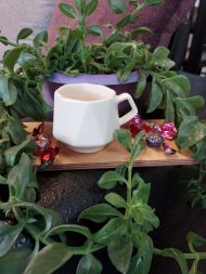 فنجان رویا (بسته ۶ عددی)